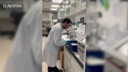 El grupo de investigación en terapias avanzadas para tumores sólidos pediátricos del Cima de la Universidad de Navarra.