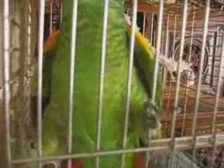 Fifille fait la belle