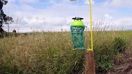 Los biopesticidas ganan terreno en Brasil, mayor consumidor de los agrotóxicos