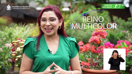 Un Reino Multicolor #10, 7º Ciencias Naturales Lección Educativa