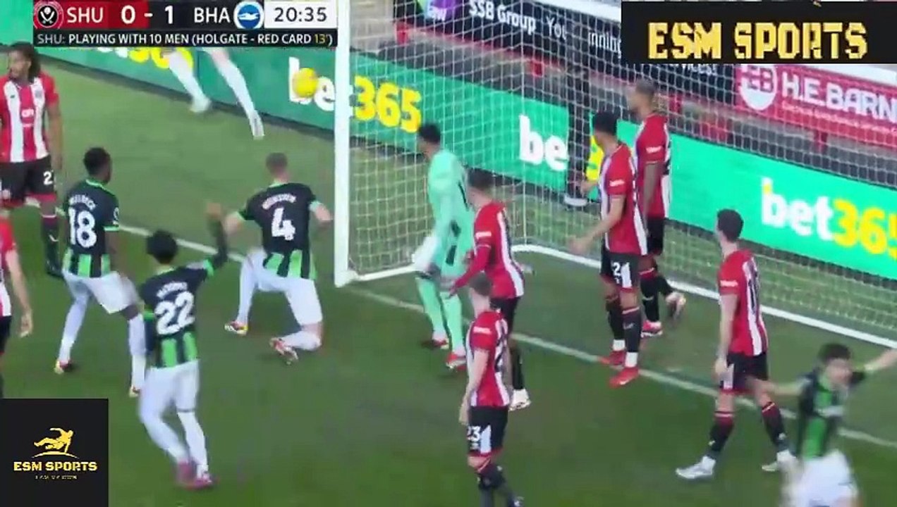 Sheffield United vs Brighton 0-5 All Goals & Highlights 2024