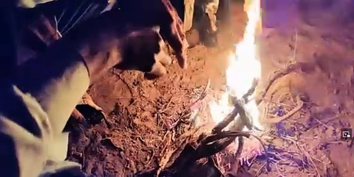 People living in the desert  Video 1