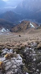 Leonardo Di Virgilio, l'ultimo video Instagram sul monte Due Mani prima della caduta fatale