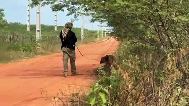 Autoridades seguem à procura de fugitivos de penitenciária federal
