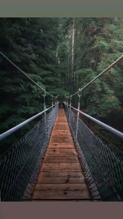 de forme pyramidale, construite par la civilisation maya dans les régions tropicales d'Amérique centrale.  Ces pyramides sont des monuments sacrés et historiques, souvent recouverts d'une végétation luxuriante en raison de l'environnement de la jungle.
