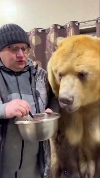 Sosyal medyada viral oldu! Koca ayıyı bir yandan sevdi bir yandan kaşıkla besledi