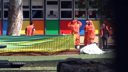 Asbestos-contanimated mulch detected at two more Sydney schools