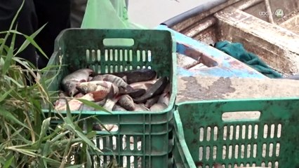 Download Video: Pocos peces y una laguna con bajo nivel de agua es como se encuentran pescadores de Ocotlán