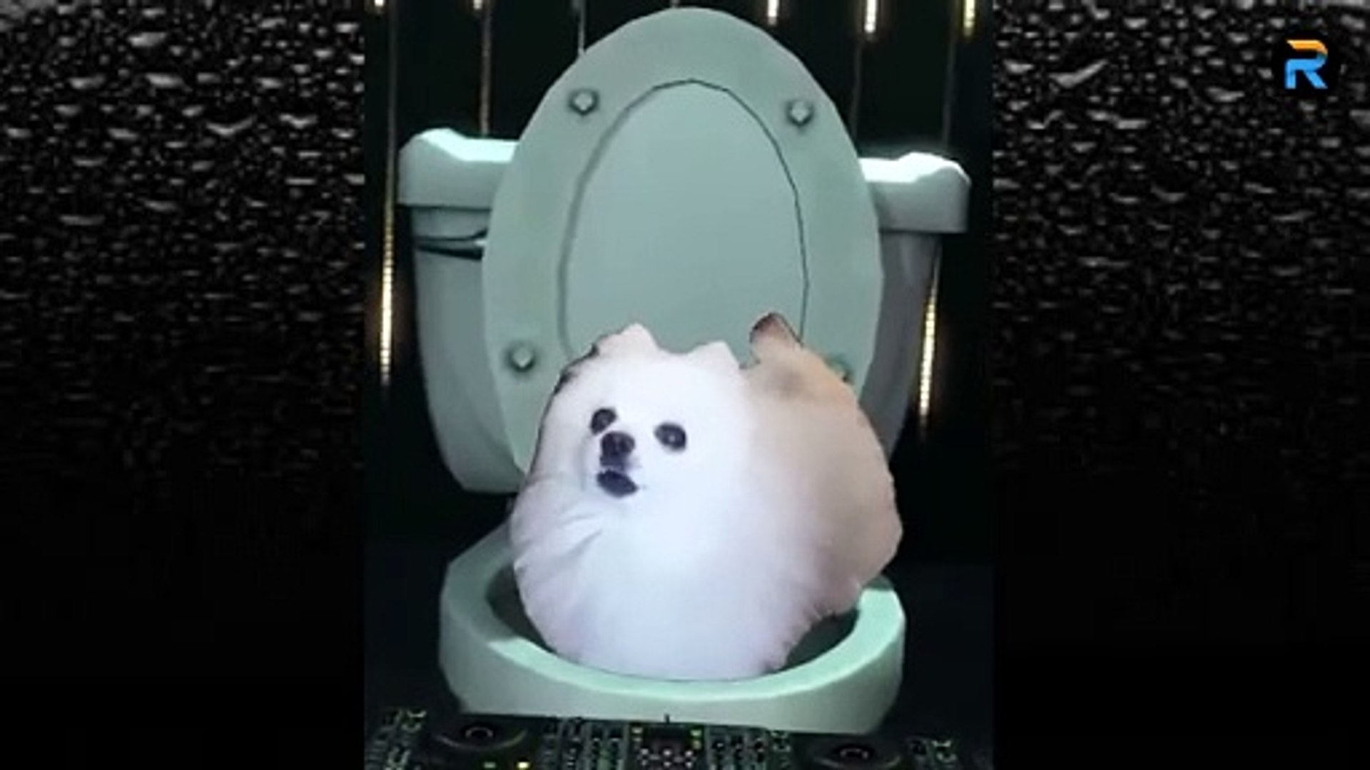 Watch Skirby Dog Video - video Dailymotion