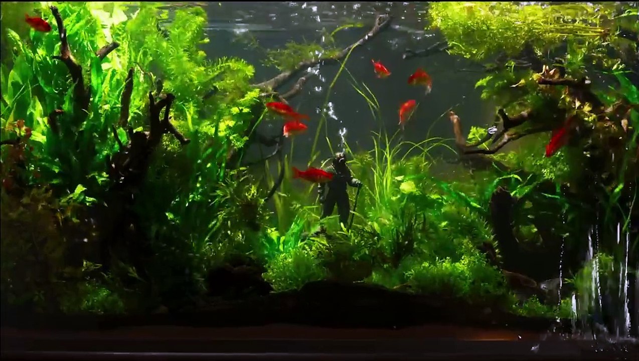 Ondine Bande-annonce (EN)