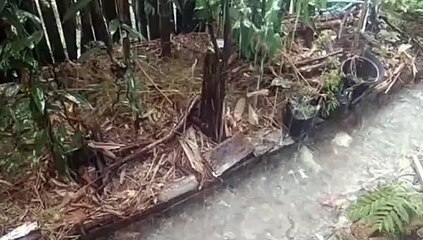 Water as the Source of Life 17