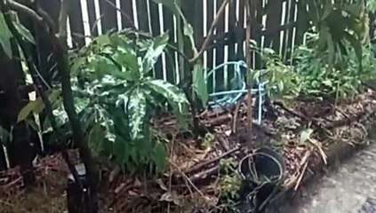 Water as the Source of Life 19