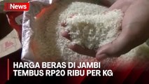 Harga Beras di Jambi Tembus Rp20 Ribu per Kg, Warga Menjerit!