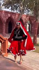 सपना चौधरी ने नए गाने पर जमकर लगाए ठुमके, ताबड़तोड़ मिल रहे व्यूज