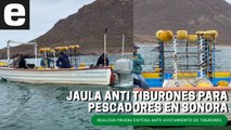 Realizan prueba exitosa de jaula anti tiburones para pescadores en Sonora