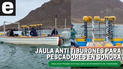 Realizan prueba exitosa de jaula anti tiburones para pescadores en Sonora