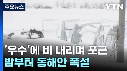 [날씨] '우수'에 비 내리며 포근...밤부터 동해안 폭설 / YTN