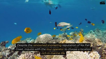 How To Maximize Your Na Pali Coast Snorkel Tour Experience