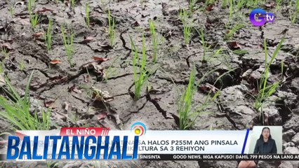 NDRRMC: Umabot na sa halos P255M ang pinsala ng El Niño sa agrikultura sa 3 rehiyon | BT
