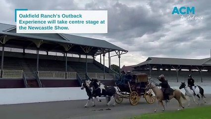 WATCH: The Outback Experience comes to the Newcastle Show