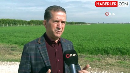 Buğday Veriminde Artış Bekleniyor