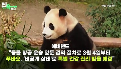 중국 가는 푸바오 마지막 작별 날짜는? '3월 3일'…"잘 가, 나의 영원한 아기 판다"