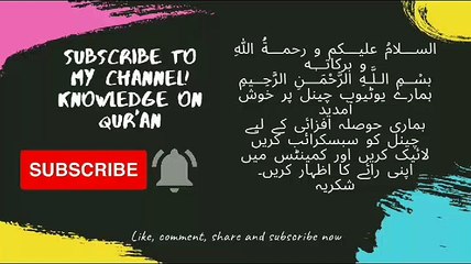 Ultimate Guide to Islamic History: Key Questions & Answers 📖