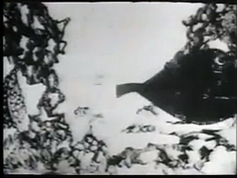 Fantasmatic （1969）