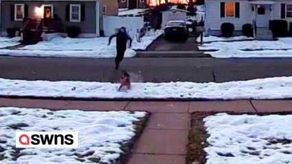 Lieferfahrer schreit vor Angst, als Hund ihn verfolgt