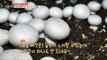 [Tasty] A button mushrooms that's delicious even if you eat it raw!, 생방송 오늘 저녁 240219