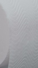 ECTLS - De quand date le papier toilette ?