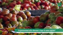[#Reportage] le gouvernement enfin déterminé à doper le secteur agricole
