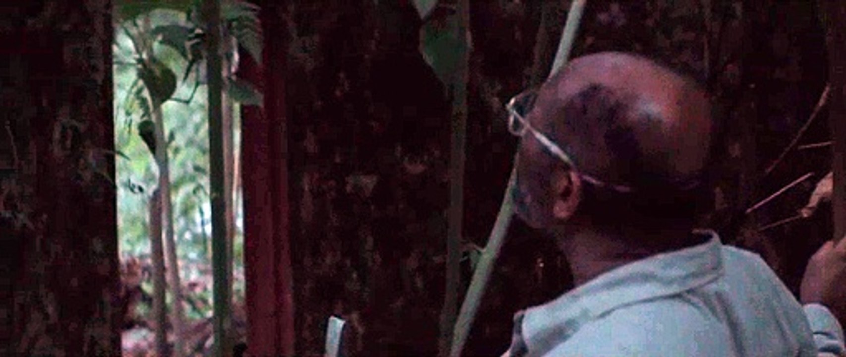 Yo vi tres luces negras Videoauszug OV