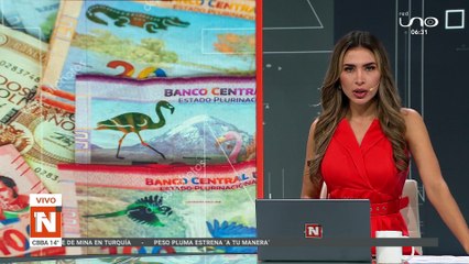 Dos detenidos por estafa de Bs 295.000