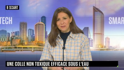 SMART TECH - Biomimétisme : une colle non toxique sous l’eau