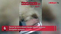 Tornavidayla köpeğe işkence iddiası! Emniyetten flaş açıklama