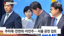 [단독]민주당, 추미애·전현희·이언주 서울 전략공천