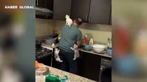 Mutfakta yemek pişiren sahibini asla yalnız bırakmayan kediler güldürdü
