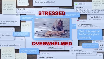 Unlocking a Fulfilling Life with the Panda Planner