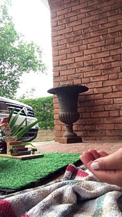 Chipmunks early visit