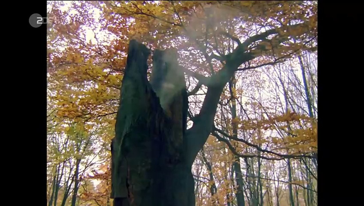 König Drosselbart - Ganzer Film - 1984