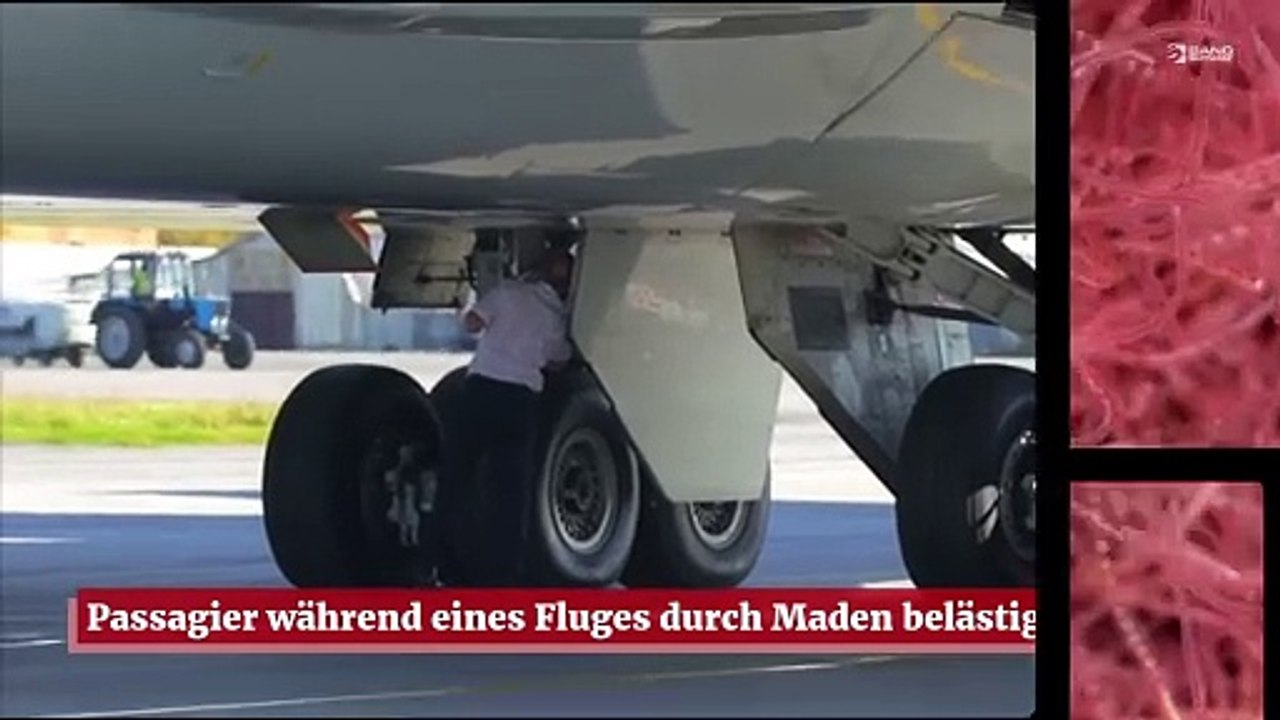 Passagier während eines Fluges durch Maden belästigt