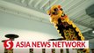 The Straits Times | Anatomy of a lion dance