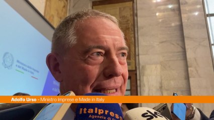 Urso "Più multinazionali interessate alla siderurgia italiana"