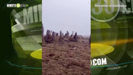 Oso de anteojos fue avistado este fin de semana en el Parque Nacional Natural Chingaza