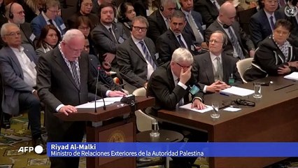 Los palestinos acusan a Israel de "apartheid" ante la CIJ