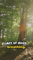 Unwind After Work Science-Backed Relaxation Facts