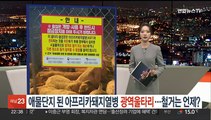 [포인트뉴스] 경찰, '클린스만 선임' 정몽규 축협 회장 수사 착수 外