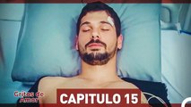 Gritos de Amor Capítulo 15 (HD) (Español Doblado)