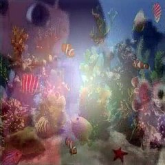 Dora The Explorer S02E24 School Pet